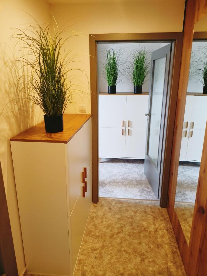 Apartman U Ovecku - Нова-Пака Экстерьер фото